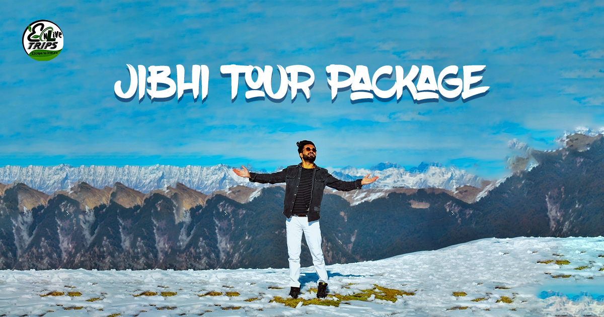 Jibhi Tour Package